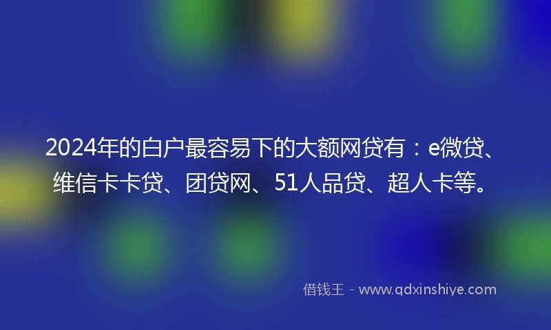 2024年的白户最容易下的大额网贷有：e微贷、维信卡卡贷、团贷网、51人品贷、超人卡等。