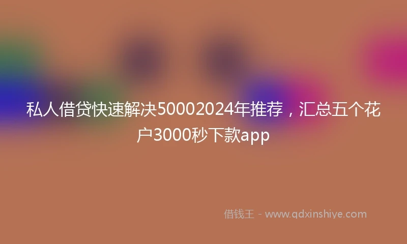 私人借贷快速解决50002024年推荐，汇总五个花户3000秒下款app