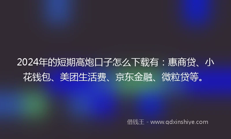 2024年的短期高炮口子怎么下载有：惠商贷、小花钱包、美团生活费、京东金融、微粒贷等。