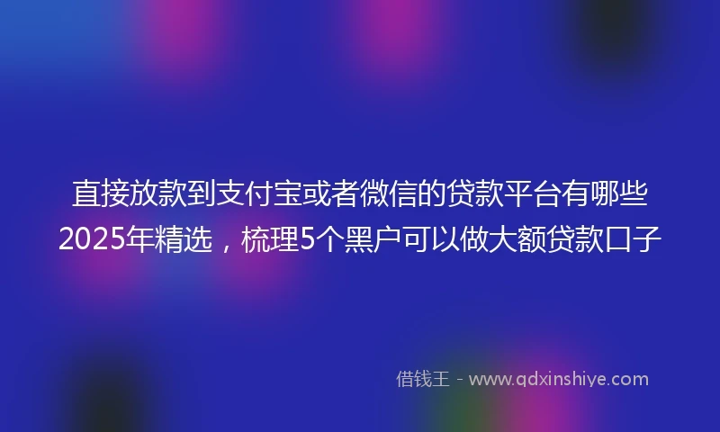 直接放款到支付宝或者微信的贷款平台有哪些2025年精选，梳理5个黑户可以做大额贷款口子