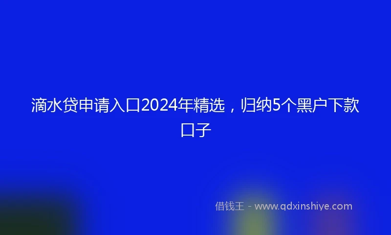 滴水贷申请入口2024年精选，归纳5个黑户下款口子