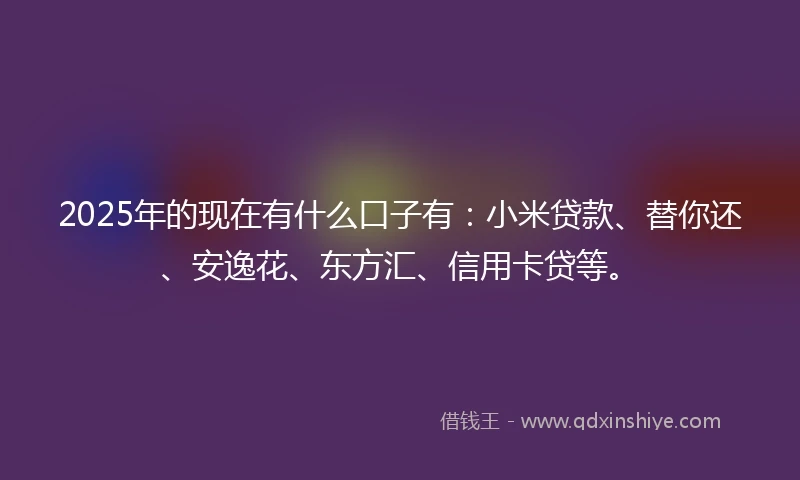2025年的现在有什么口子有：小米贷款、替你还、安逸花、东方汇、信用卡贷等。