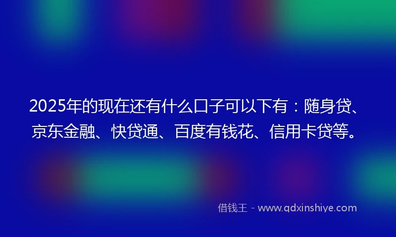 2025年的现在还有什么口子可以下有：随身贷、京东金融、快贷通、百度有钱花、信用卡贷等。