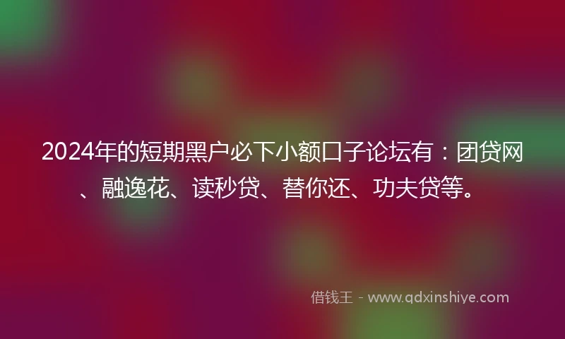 2024年的短期黑户必下小额口子论坛有：团贷网、融逸花、读秒贷、替你还、功夫贷等。