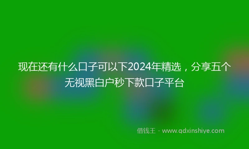 现在还有什么口子可以下2024年精选，分享五个无视黑白户秒下款口子平台
