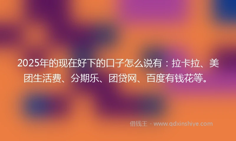 2025年的现在好下的口子怎么说有：拉卡拉、美团生活费、分期乐、团贷网、百度有钱花等。