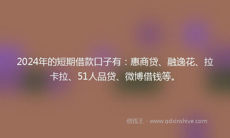 2024年的短期借款口子有：惠商贷、融逸花、拉卡拉、51人品贷、微博借钱等。
