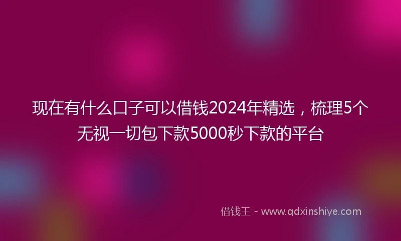 现在有什么口子可以借钱2024年精选，梳理5个无视一切包下款5000秒下款的平台