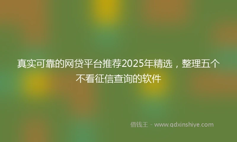真实可靠的网贷平台推荐2025年精选，整理五个不看征信查询的软件