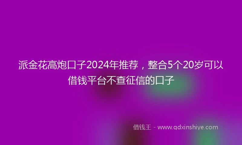 派金花高炮口子2024年推荐，整合5个20岁可以借钱平台不查征信的口子