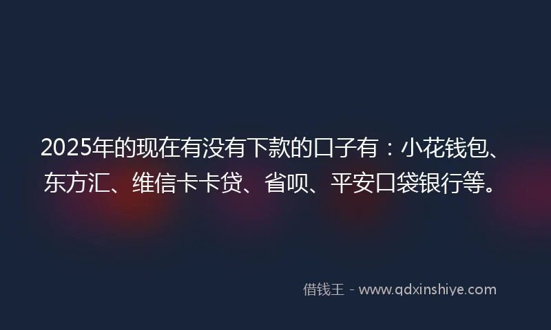2025年的现在有没有下款的口子有：小花钱包、东方汇、维信卡卡贷、省呗、平安口袋银行等。