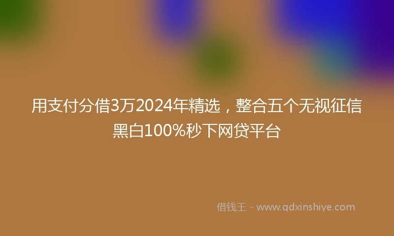 用支付分借3万2024年精选，整合五个无视征信黑白100%秒下网贷平台