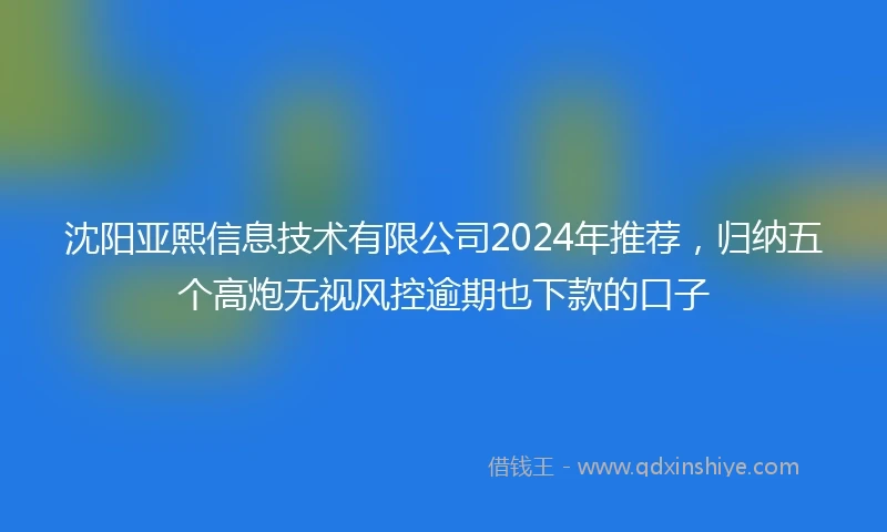 沈阳亚熙信息技术有限公司2024年推荐，归纳五个高炮无视风控逾期也下款的口子
