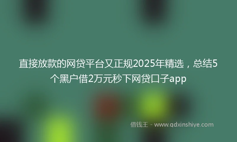 直接放款的网贷平台又正规2025年精选，总结5个黑户借2万元秒下网贷口子app