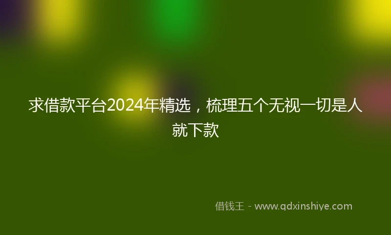 求借款平台2024年精选，梳理五个无视一切是人就下款