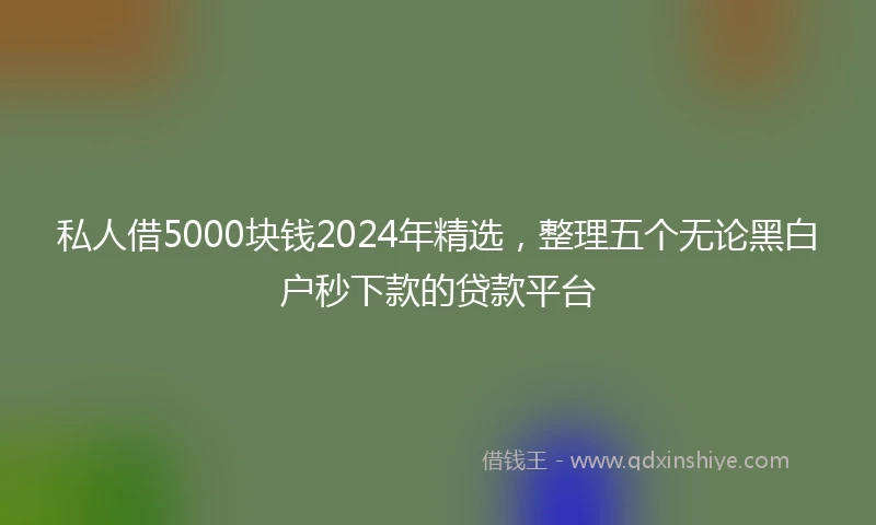 私人借5000块钱2024年精选，整理五个无论黑白户秒下款的贷款平台