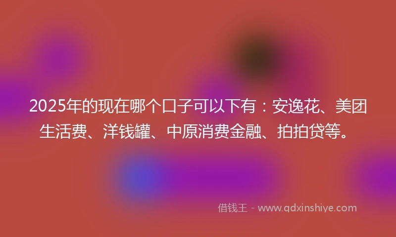 2025年的现在哪个口子可以下有：安逸花、美团生活费、洋钱罐、中原消费金融、拍拍贷等。