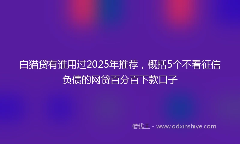 白猫贷有谁用过2025年推荐，概括5个不看征信负债的网贷百分百下款口子