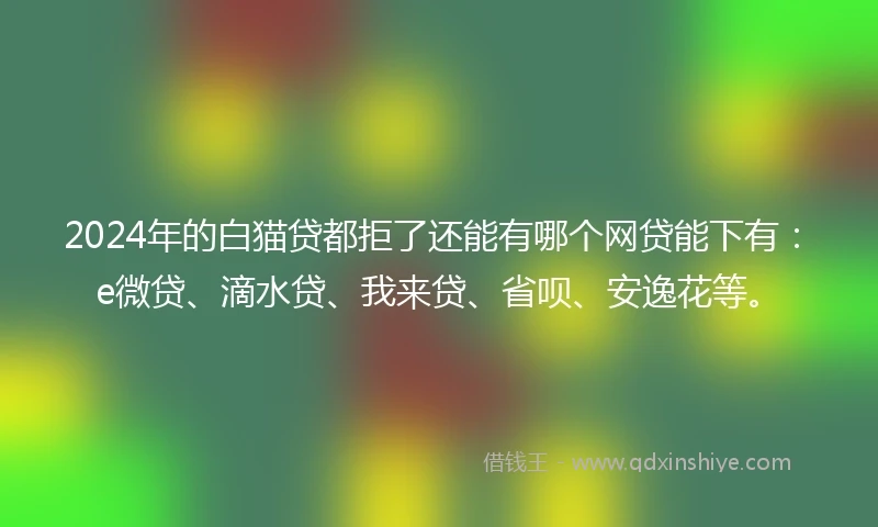 2024年的白猫贷都拒了还能有哪个网贷能下有：e微贷、滴水贷、我来贷、省呗、安逸花等。