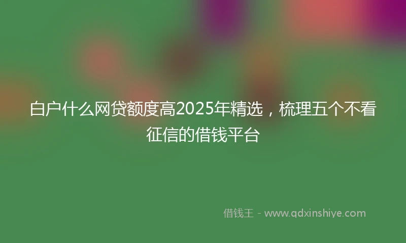 白户什么网贷额度高2025年精选，梳理五个不看征信的借钱平台
