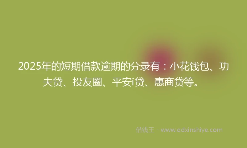 2025年的短期借款逾期的分录有：小花钱包、功夫贷、投友圈、平安i贷、惠商贷等。