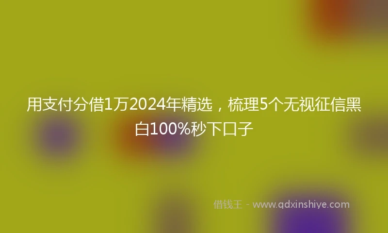 用支付分借1万2024年精选,梳理5个无视征信黑白100%秒下口子