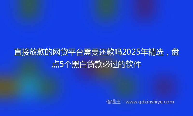 直接放款的网贷平台需要还款吗2025年精选，盘点5个黑白贷款必过的软件