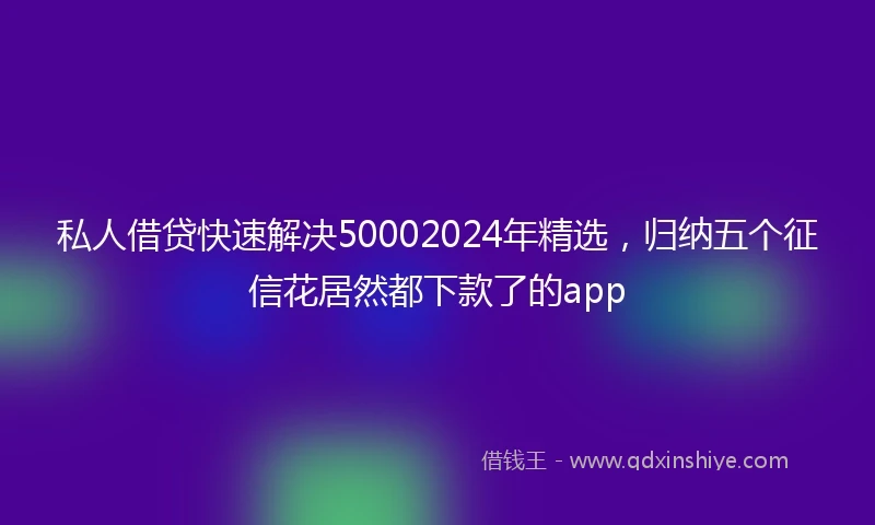 私人借贷快速解决50002024年精选，归纳五个征信花居然都下款了的app