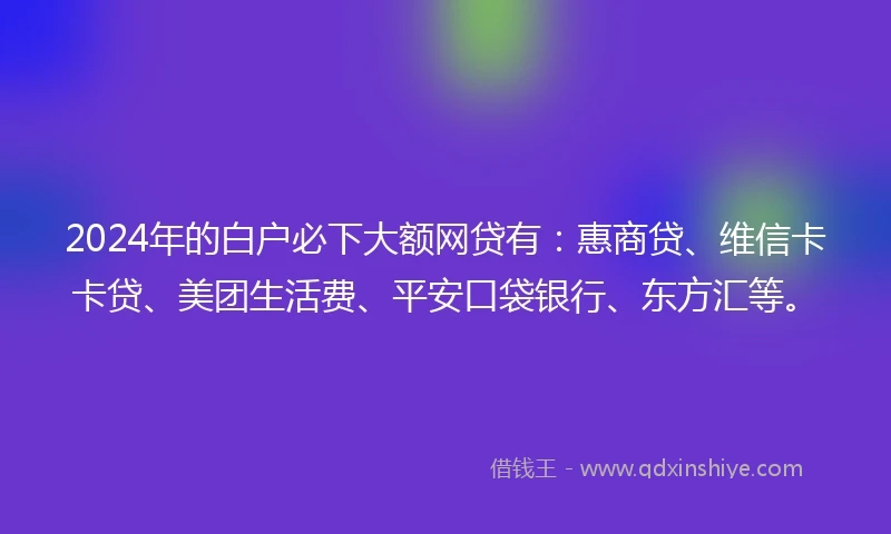 2024年的白户必下大额网贷有：惠商贷、维信卡卡贷、美团生活费、平安口袋银行、东方汇等。