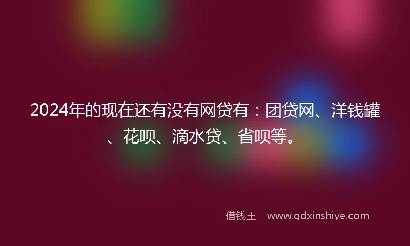 2024年的现在还有没有网贷有：团贷网、洋钱罐、花呗、滴水贷、省呗等。