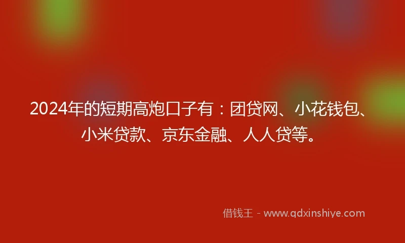 2024年的短期高炮口子有：团贷网、小花钱包、小米贷款、京东金融、人人贷等。