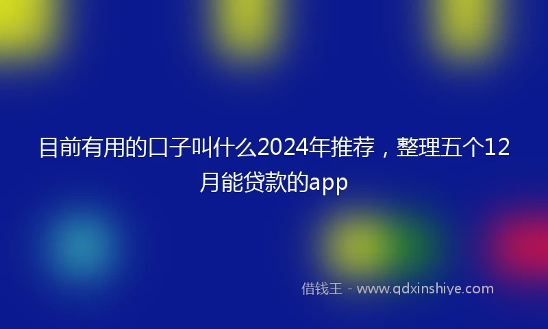 目前有用的口子叫什么2024年推荐，整理五个12月能贷款的app