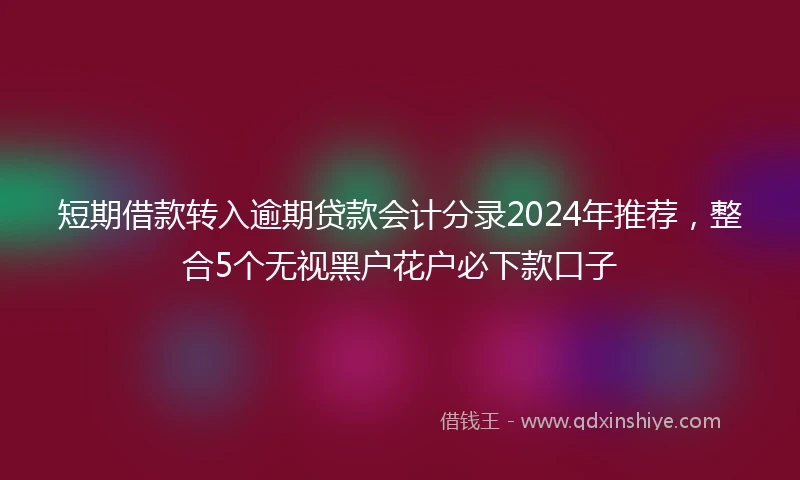 短期借款转入逾期贷款会计分录2024年推荐，整合5个无视黑户花户必下款口子