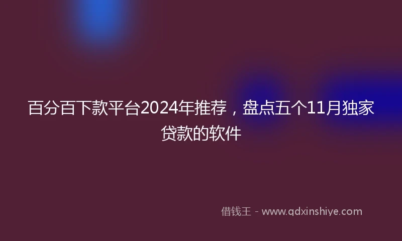 百分百下款平台2024年推荐，盘点五个11月独家贷款的软件