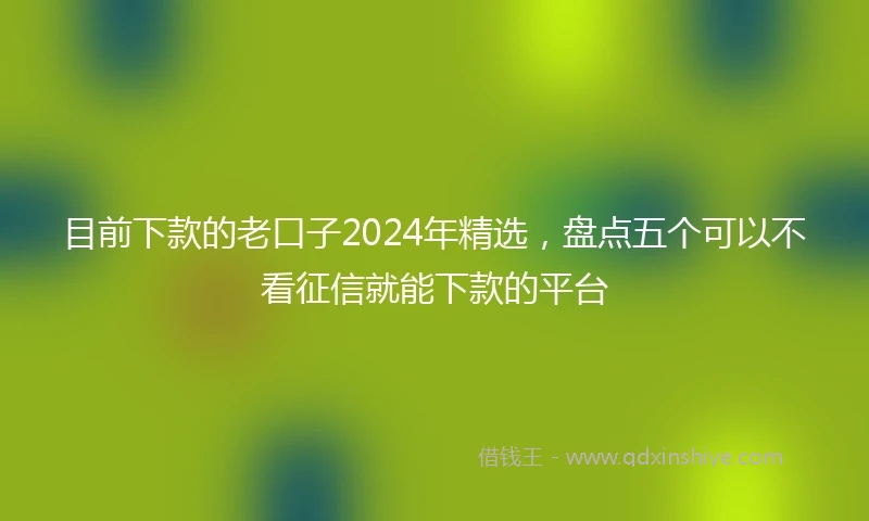 目前下款的老口子2024年精选，盘点五个可以不看征信就能下款的平台