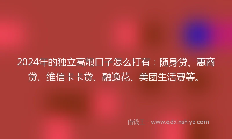 2024年的独立高炮口子怎么打有：随身贷、惠商贷、维信卡卡贷、融逸花、美团生活费等。