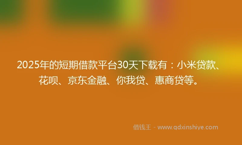 2025年的短期借款平台30天下载有：小米贷款、花呗、京东金融、你我贷、惠商贷等。