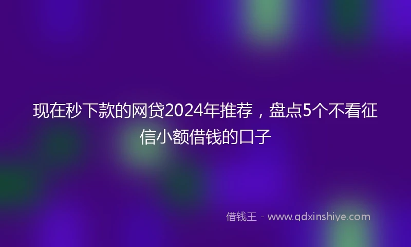 现在秒下款的网贷2024年推荐，盘点5个不看征信小额借钱的口子