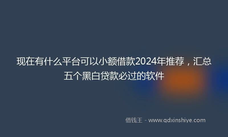 现在有什么平台可以小额借款2024年推荐，汇总五个黑白贷款必过的软件