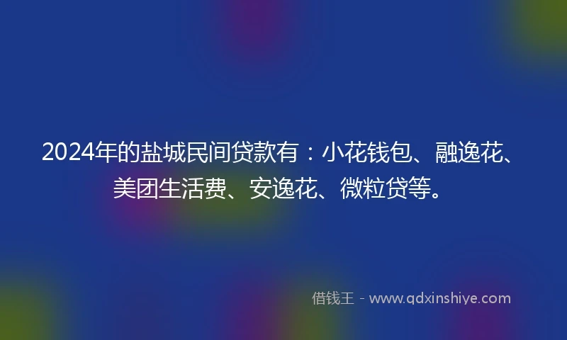 2024年的盐城民间贷款有：小花钱包、融逸花、美团生活费、安逸花、微粒贷等。