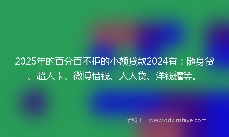 2025年的百分百不拒的小额贷款2024有：随身贷、超人卡、微博借钱、人人贷、洋钱罐等。