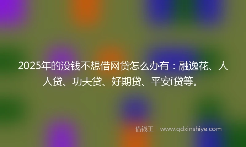 2025年的没钱不想借网贷怎么办有：融逸花、人人贷、功夫贷、好期贷、平安i贷等。