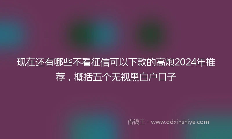 现在还有哪些不看征信可以下款的高炮2024年推荐，概括五个无视黑白户口子