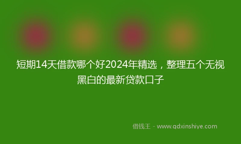 短期14天借款哪个好2024年精选，整理五个无视黑白的最新贷款口子