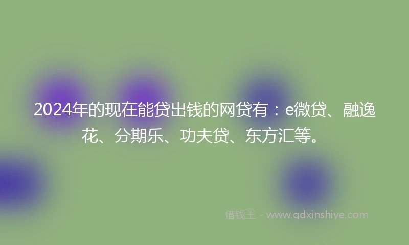 2024年的现在能贷出钱的网贷有：e微贷、融逸花、分期乐、功夫贷、东方汇等。
