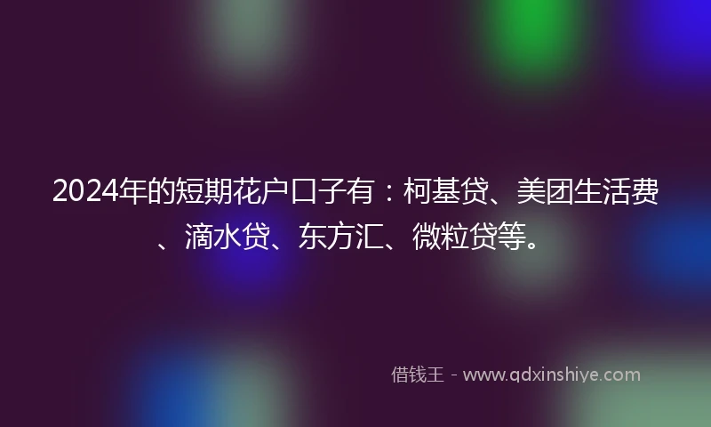 2024年的短期花户口子有：柯基贷、美团生活费、滴水贷、东方汇、微粒贷等。