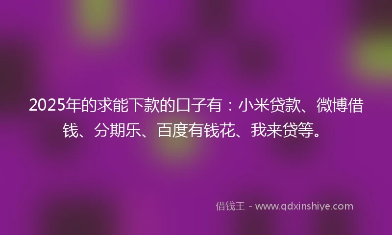 2025年的求能下款的口子有：小米贷款、微博借钱、分期乐、百度有钱花、我来贷等。