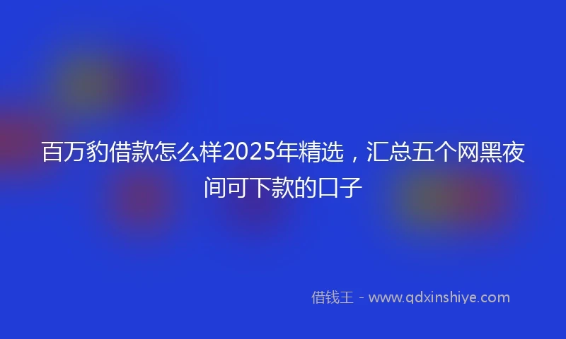 百万豹借款怎么样2025年精选，汇总五个网黑夜间可下款的口子