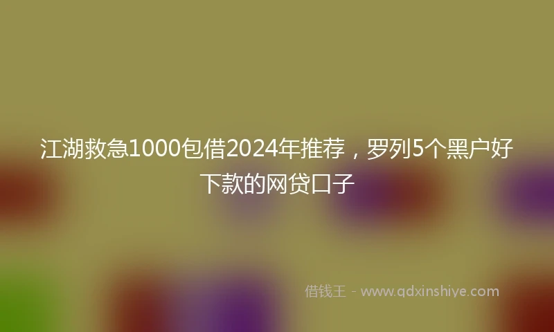 江湖救急1000包借2024年推荐，罗列5个黑户好下款的网贷口子