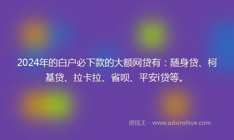 2024年的白户必下款的大额网贷有：随身贷、柯基贷、拉卡拉、省呗、平安i贷等。